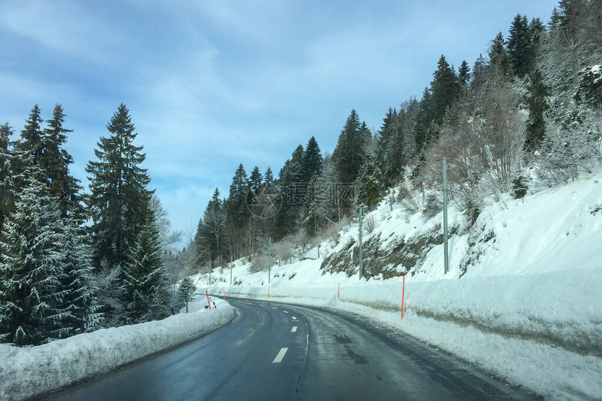 森林道路和树上下雪图片