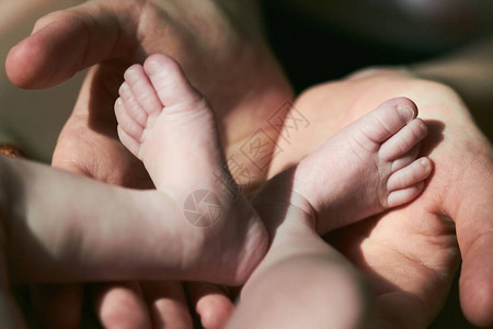 妈抱着刚出生的婴儿的脚图片
