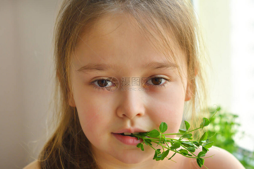 快乐的女孩吃豌豆microgreenvegeterianconceptgood胃口春季维生素缺乏症发芽蔬菜从亚麻垫上的优质有机植图片