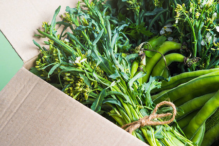 绿色生产蔬菜和纸板盒中的草药健康有机食品图片