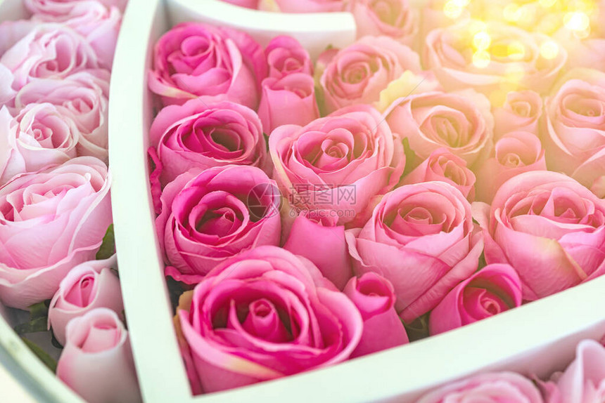粉红玫瑰花朵开花和bokeh图片