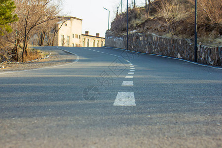 通向森林的空无道路图片