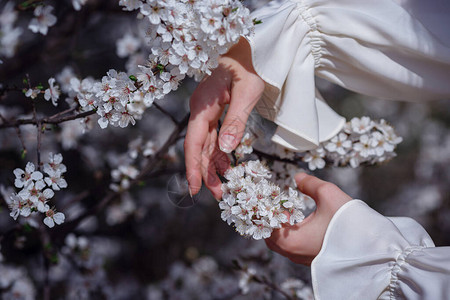 春天花园樱花树早午餐中的女双手美丽夏天情感表图片
