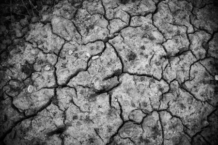 土壤干旱和干旱裂开干旱细图片