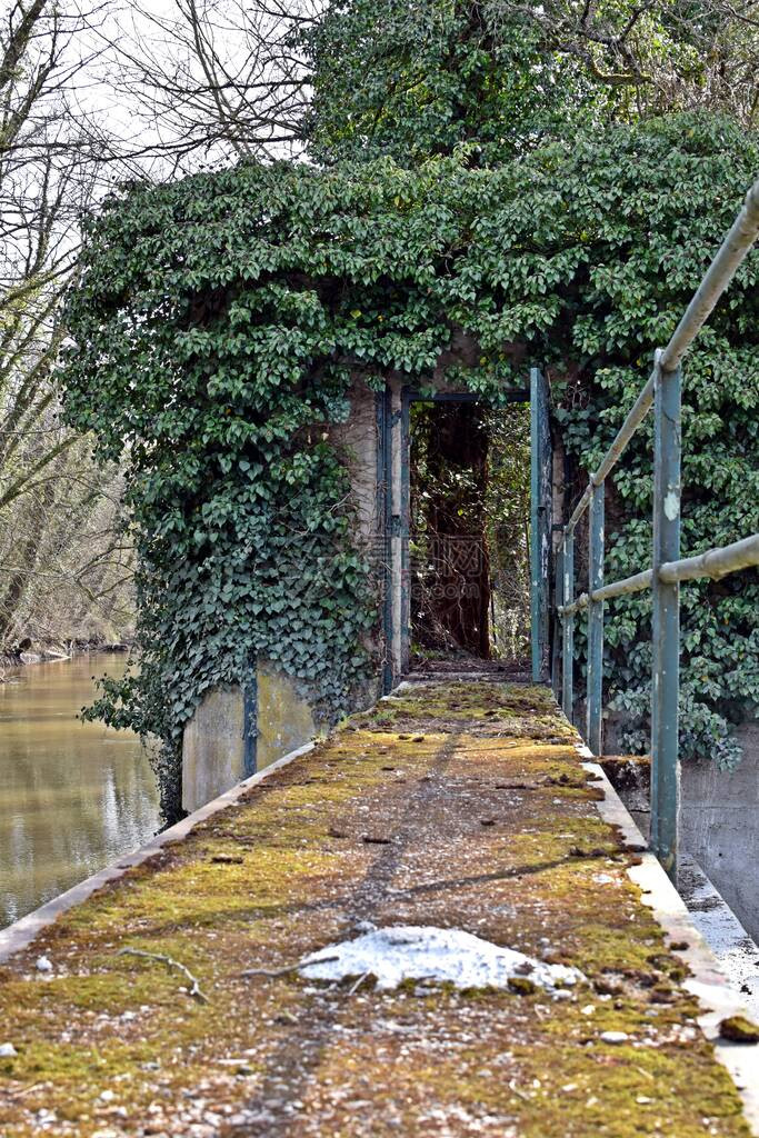 一扇门从混凝土桥通向森林神秘的景象和图片
