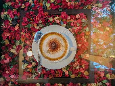 一杯白色热卡布奇诺咖啡的顶视图像图片
