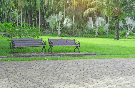 新鲜的绿色地毯草场上的两条木制和锻铁长凳高清图片
