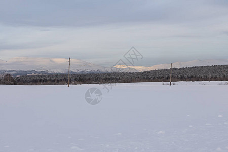 冬季风景雪覆盖的田地森林和山在背景图片