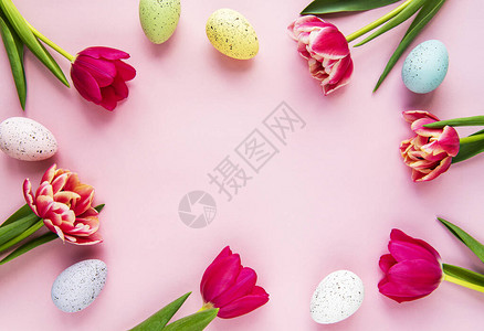 春郁金香和复活节鸡蛋以粉图片