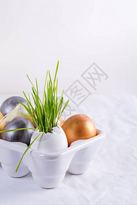 复活节草种在白桌背景的鸡蛋壳和图片