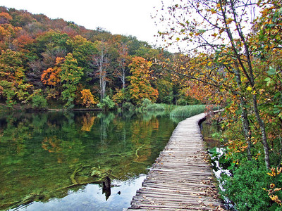普利维茨湖泊公园或nacionalni公园的景观和环境图片