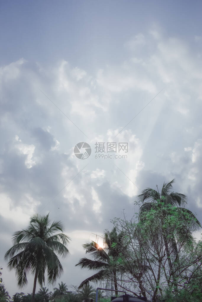 可椰子树剪影由戏剧天空在一天夏日落阳光的时间后面点燃热带海滩巴利阿里群岛专注于前景旅游背图片