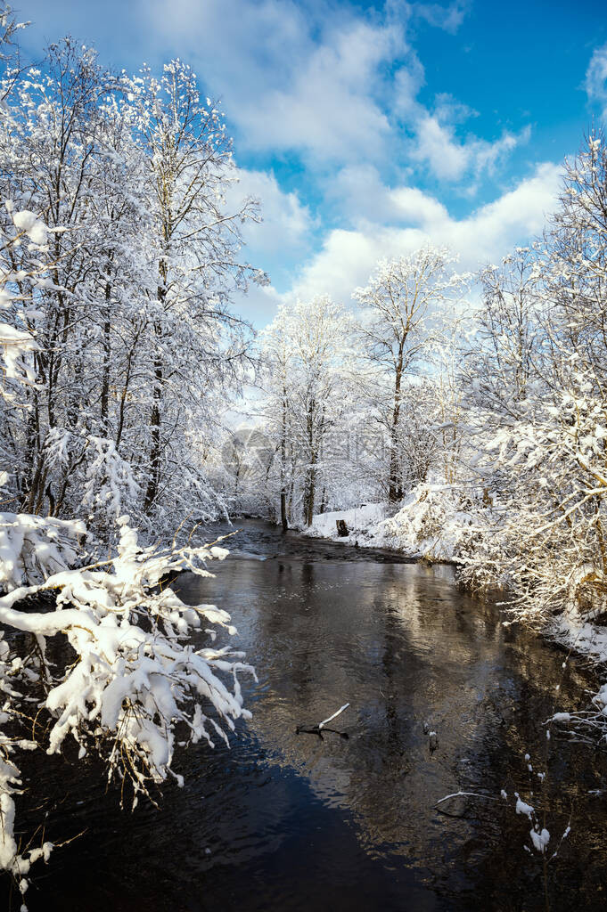 冬季风景与Vizla河图片