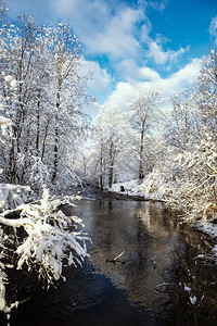 冬季风景与Vizla河高清图片