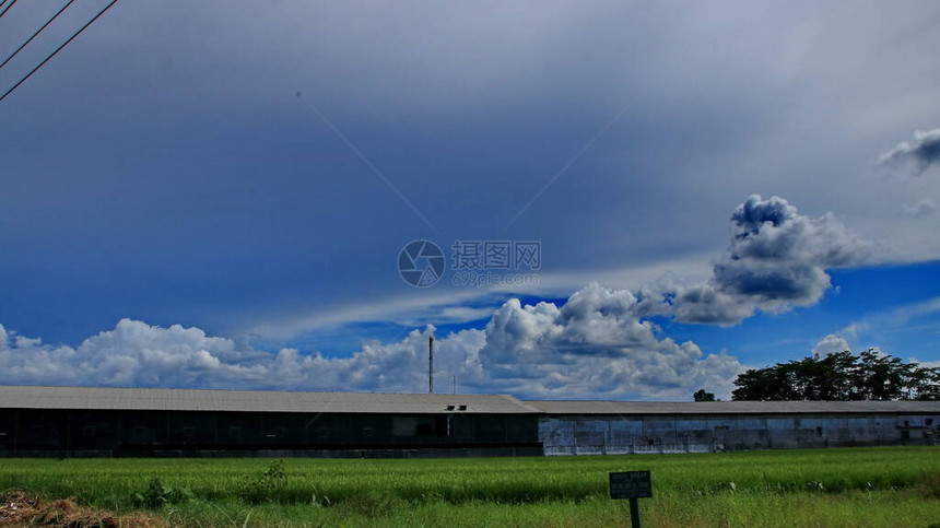 以蓝天空和独特白云为背景的田地树木自然景色图片