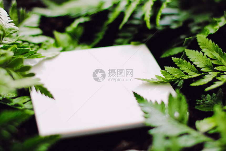 绿草背景空白卡品牌设计图片