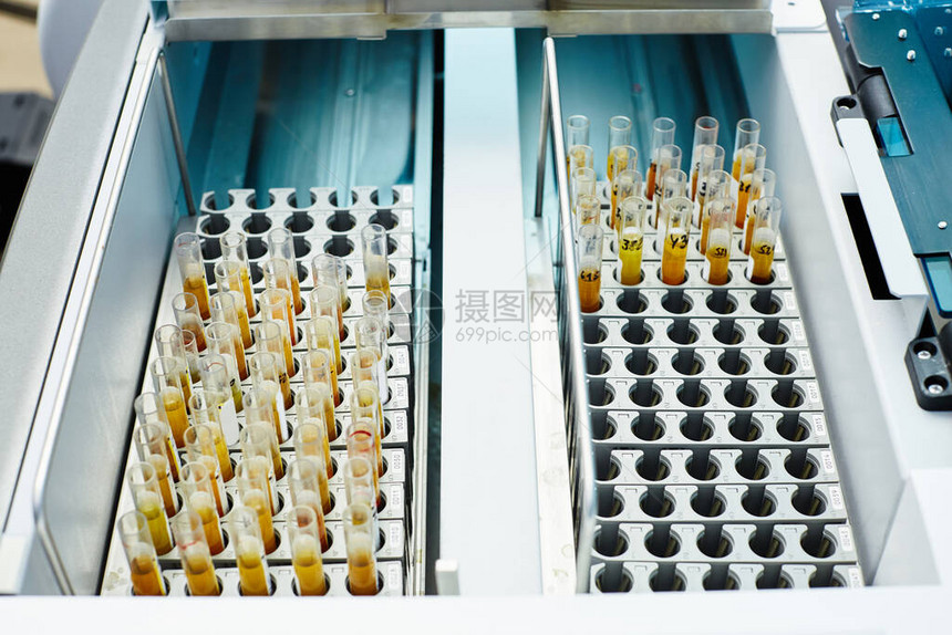 化学实验室玻璃试管中黄色医学样本图片