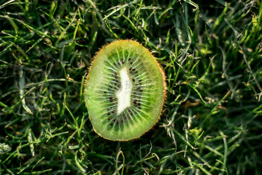 草地顶的图片