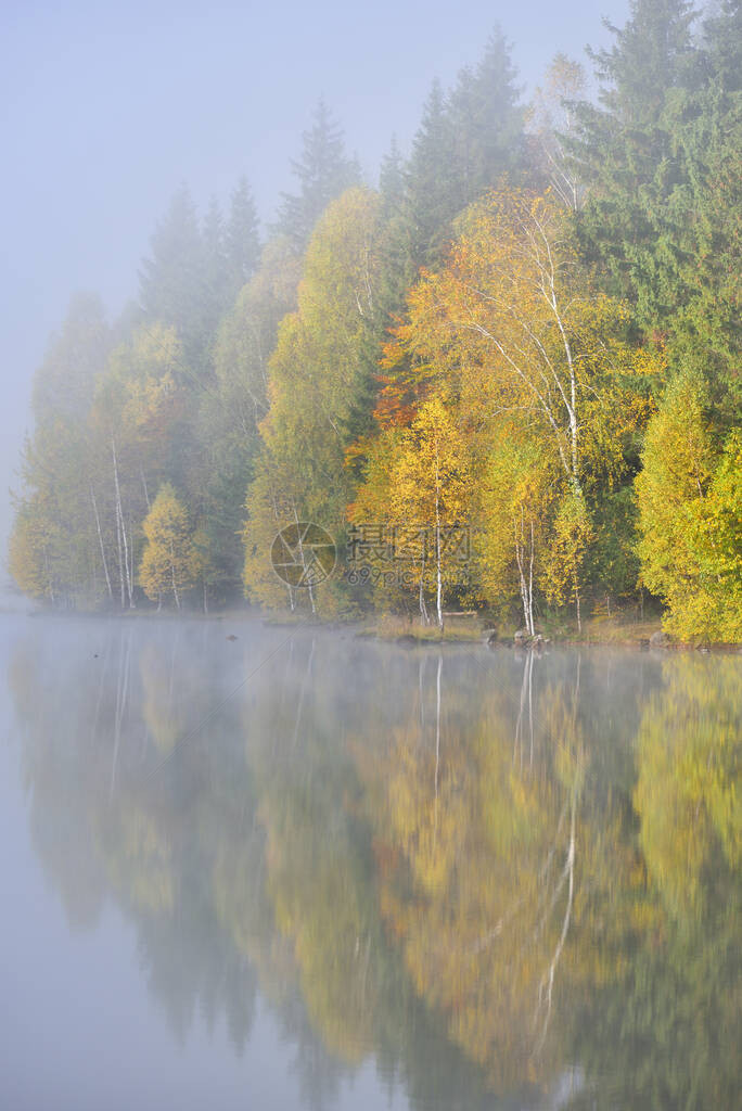 罗马尼亚StAna湖水中树林反射的山图片