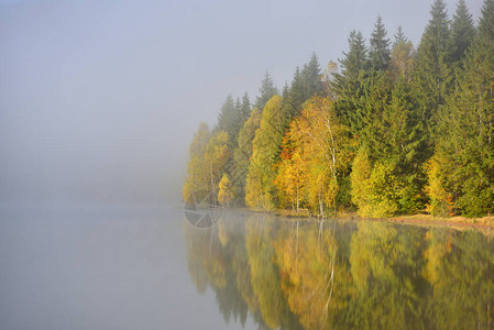 罗马尼亚StAna湖水中树林反射的山背景图片