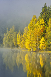 罗马尼亚StAna湖水中树林反射的山背景图片