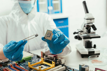 工程师在显微镜和计算机主仪表附近携带微芯片和小石图片