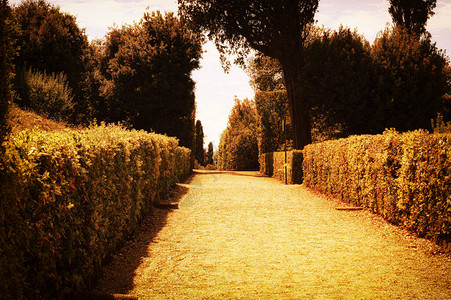 穿过意大利美丽的花园的道路图片
