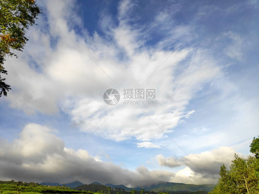 森林顶端的绿树蓝天空和太阳图片