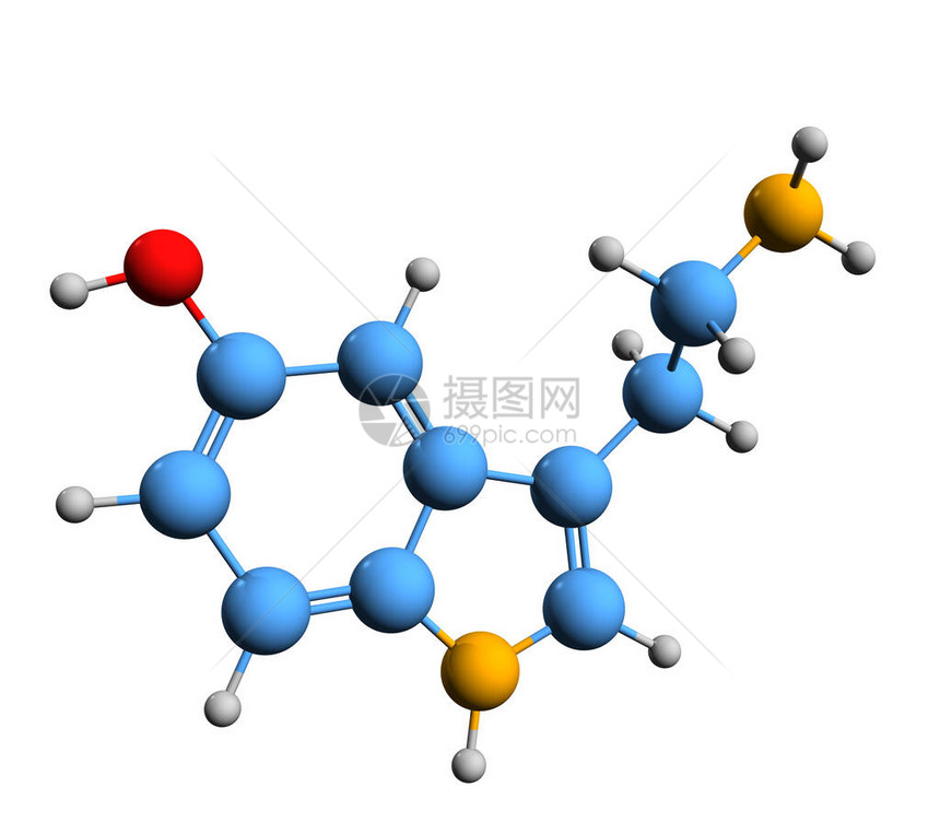 Serotonin骨骼配方5HT或白底孤立的Enteramine分子化学图片