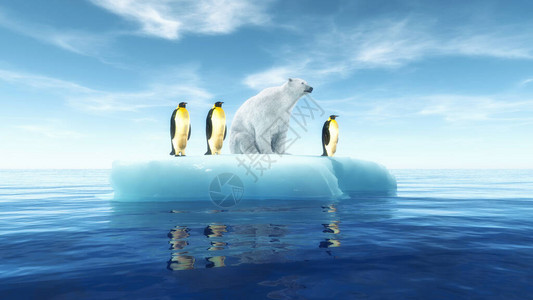 企鹅北极熊北极熊和企鹅在冰山的一块上全球升温概念这背景