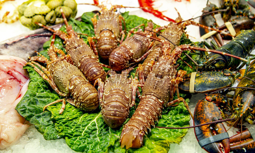 清晨鱼市上新鲜的龙虾和小龙虾在新鲜生菜叶上图片