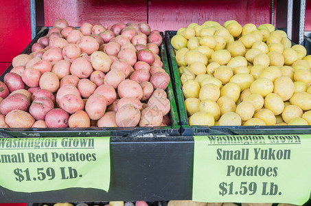 美国华盛顿农民市场黑塑料箱中西北种植的红和黄育空土豆图片