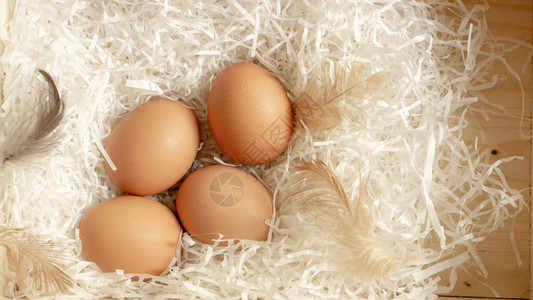 木篮白碎纸上四个棕色鸡蛋和鸡毛图片