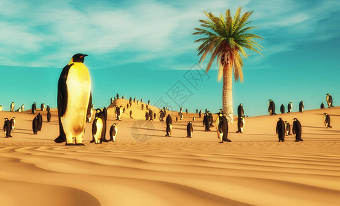 站在沙漠中的企鹅群全球暖化和气候变化概念这是3d的变图片
