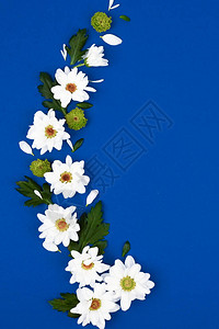 蓝色背景上的白花和绿叶的创意布局春天概念平面图片