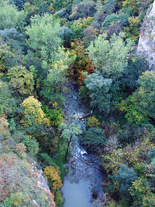Pazincica河的峡谷在深渊和Pazin洞穴之前Pazin图片