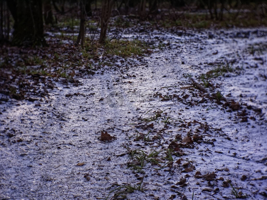 一小层雪在森图片