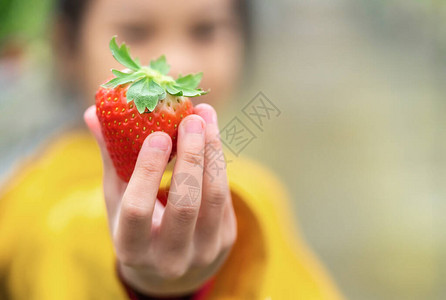 女孩拿着一个大红色有机草莓图片