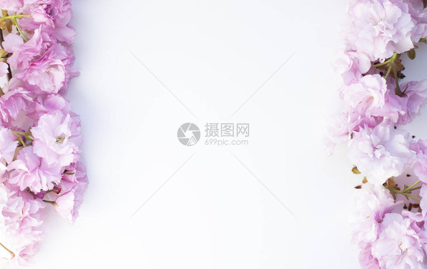粉红色和白色杏仁花的框架图片