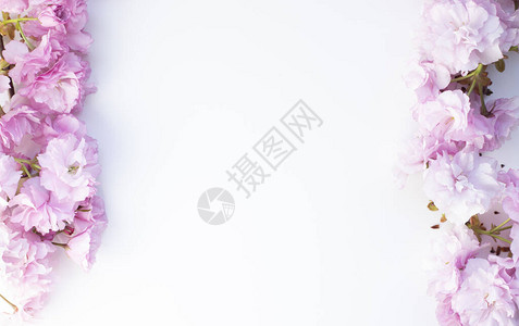 粉红色和白色杏仁花的框架背景图片