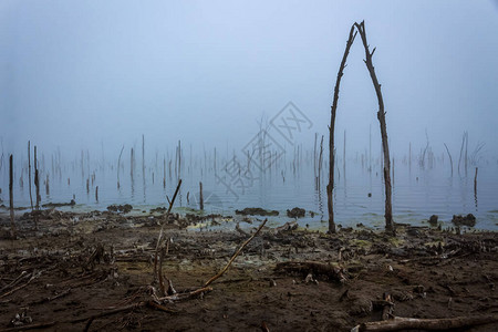 Tambukan湖是高加索度假胜地使用的一种治疗泥土的来源图片