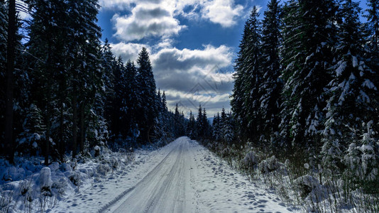 喀尔巴阡山脉松林针叶山顶冬季雪地航拍图片