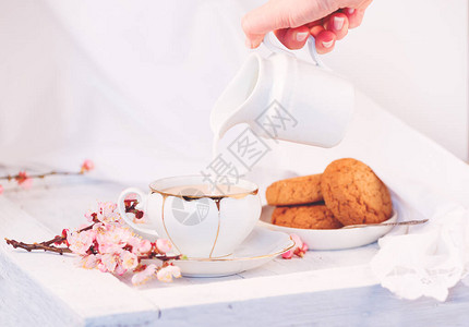 白瓷茶杯牛奶壶和新鲜的燕麦饼干英国早餐还有饮料美食和白桌布背景图片