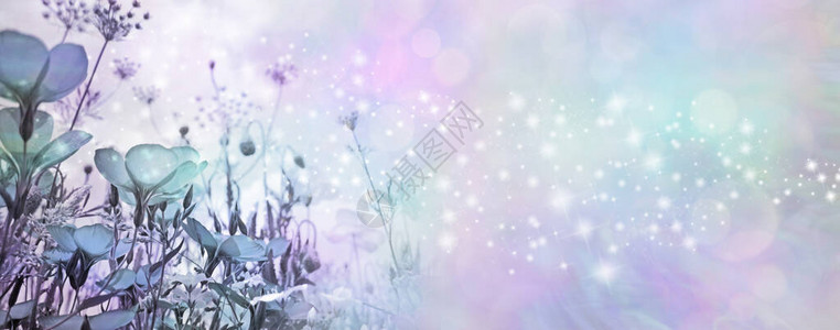 特殊场合柔和的蓝色花朵闪发光的宽横幅背景图片
