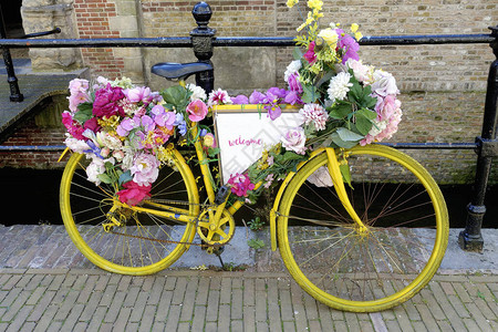 旧式荷兰城市自行车图片