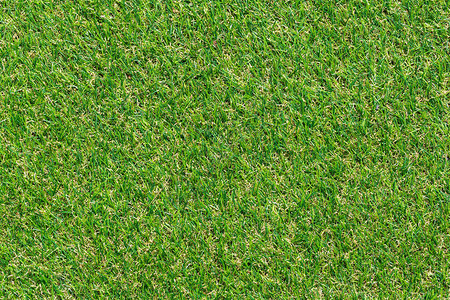高尔夫球场足球场或体育概念设计草质背景自然绿图片