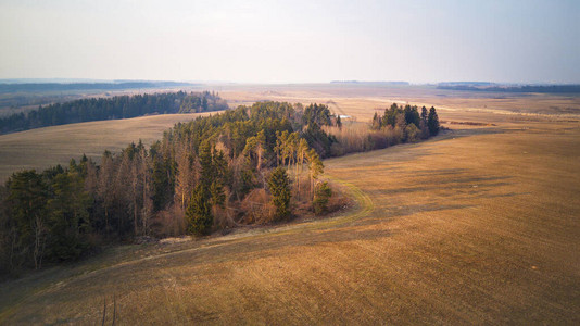 春天农田和木头的农村全景图片