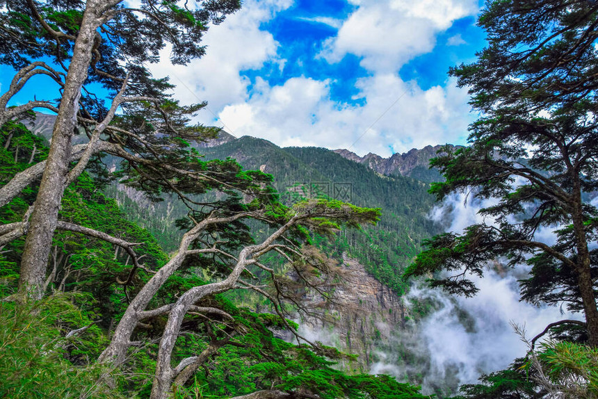 Jade山地景观山台图片