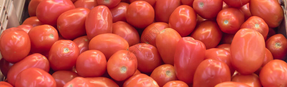 美国华盛顿农贸市场的木箱里陈列着一堆番茄酱有机西图片