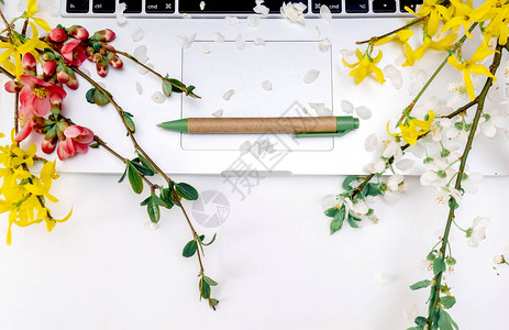 苹果树笔和记本电脑在白色背景上图片